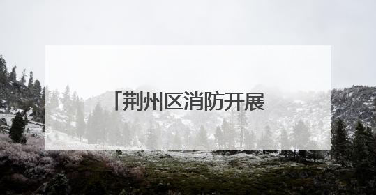 荆州区消防开展寄宿制学校消防安全专项检查