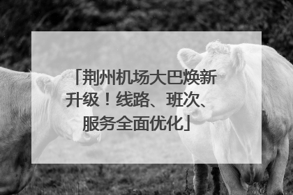 荆州机场大巴焕新升级！线路、班次、服务全面优化
