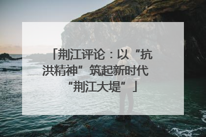 荆江评论：以“抗洪精神”筑起新时代“荆江大堤”