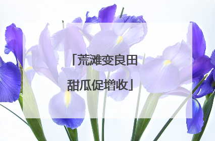 荒滩变良田 甜瓜促增收