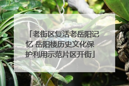 老街区复活老岳阳记忆 岳阳楼历史文化保护利用示范片区开街