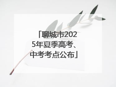 聊城市2025年夏季高考、中考考点公布