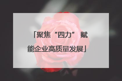 聚焦“四力” 赋能企业高质量发展