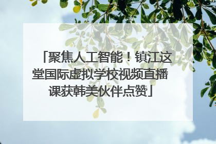 聚焦人工智能！镇江这堂国际虚拟学校视频直播课获韩美伙伴点赞