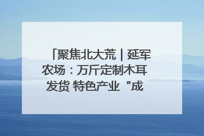 聚焦北大荒｜延军农场：万斤定制木耳发货 特色产业“成绩单”亮眼