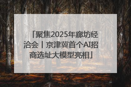 聚焦2025年廊坊经洽会丨京津冀首个AI招商选址大模型亮相