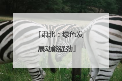 肃北：绿色发展动能强劲