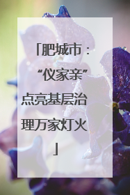 肥城市：“仪家亲”点亮基层治理万家灯火