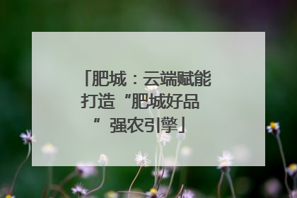 肥城：云端赋能 打造“肥城好品”强农引擎