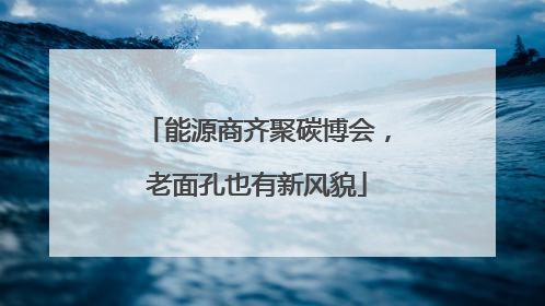 能源商齐聚碳博会，老面孔也有新风貌