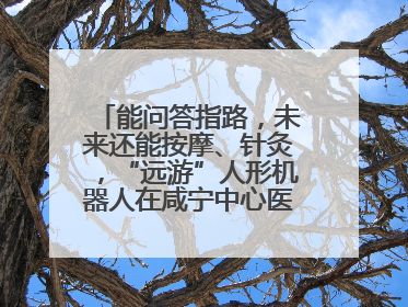 能问答指路，未来还能按摩、针灸，“远游”人形机器人在咸宁中心医院上岗