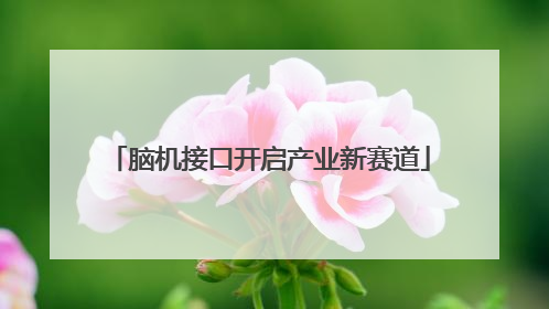 脑机接口开启产业新赛道