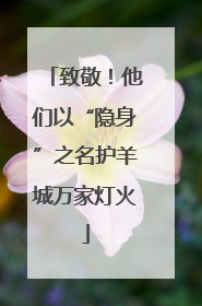 致敬！他们以“隐身”之名护羊城万家灯火