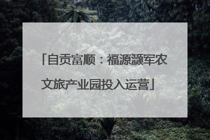 自贡富顺：福源灏军农文旅产业园投入运营