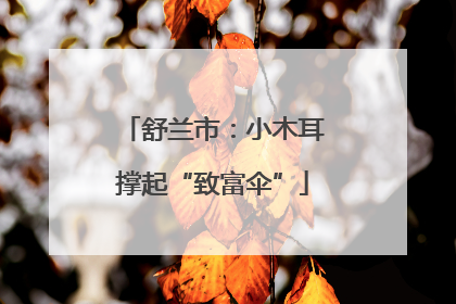舒兰市：小木耳撑起“致富伞”