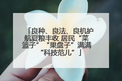 良种、良法、良机护航夏粮丰收 居民“菜篮子”“果盘子”满满“科技范儿”