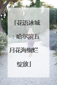 花语冰城：哈尔滨五月花海绚烂绽放