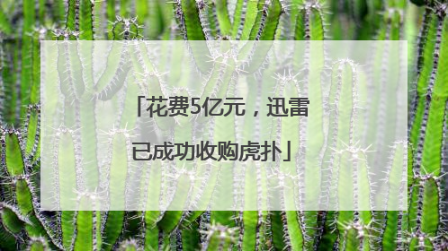 花费5亿元，迅雷已成功收购虎扑