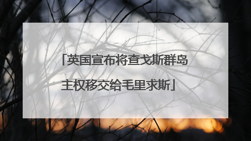英国宣布将查戈斯群岛主权移交给毛里求斯