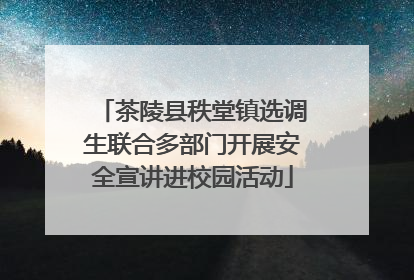 茶陵县秩堂镇选调生联合多部门开展安全宣讲进校园活动