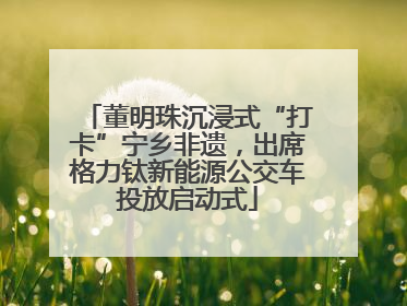 董明珠沉浸式“打卡”宁乡非遗,出席格力钛新能源公交车投放启动式