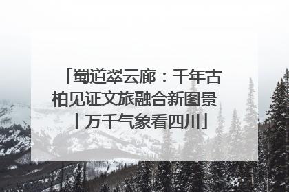 蜀道翠云廊：千年古柏见证文旅融合新图景丨万千气象看四川