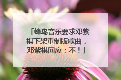 蜂鸟音乐要求邓紫棋下架重制版歌曲，邓紫棋回应：不！