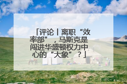 评论丨离职“效率部”，马斯克是闯进华盛顿权力中心的“大象”？