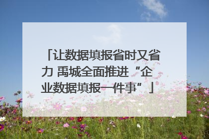 让数据填报省时又省力 禹城全面推进“企业数据填报一件事”