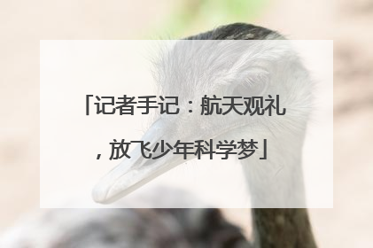记者手记：航天观礼，放飞少年科学梦