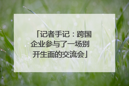 记者手记：跨国企业参与了一场别开生面的交流会