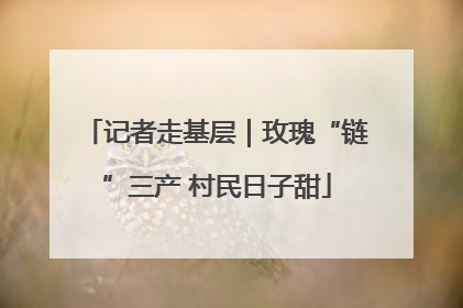 记者走基层｜玫瑰“链”三产 村民日子甜