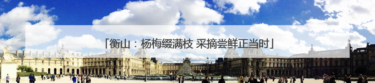 衡山：杨梅缀满枝 采摘尝鲜正当时