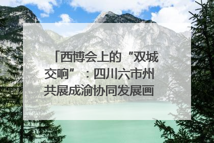 西博会上的“双城交响”：四川六市州共展成渝协同发展画卷｜西博视界