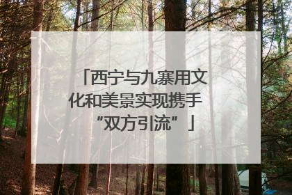 西宁与九寨用文化和美景实现携手“双方引流”