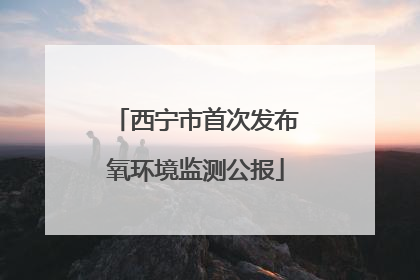 西宁市首次发布氧环境监测公报