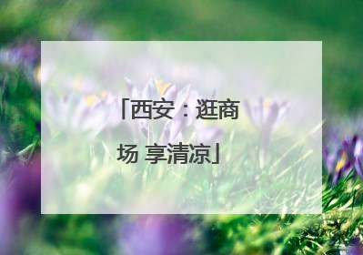 西安：逛商场 享清凉