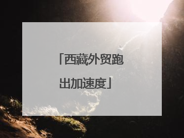 西藏外贸跑出加速度