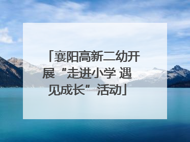 襄阳高新二幼开展“走进小学 遇见成长”活动