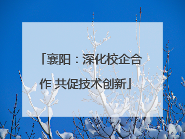 襄阳：深化校企合作 共促技术创新