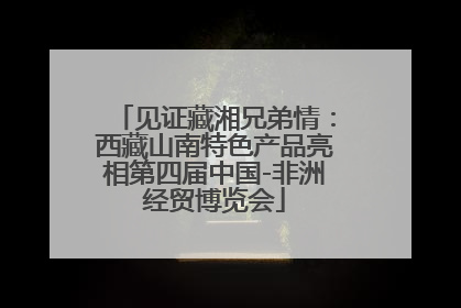 见证藏湘兄弟情：西藏山南特色产品亮相第四届中国-非洲经贸博览会