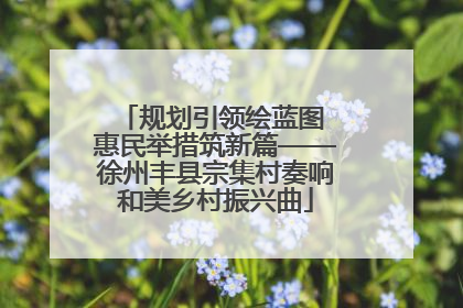 规划引领绘蓝图 惠民举措筑新篇——徐州丰县宗集村奏响和美乡村振兴曲