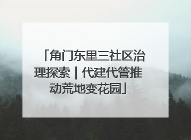 角门东里三社区治理探索｜代建代管推动荒地变花园