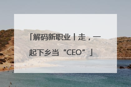 解码新职业丨走，一起下乡当“CEO”