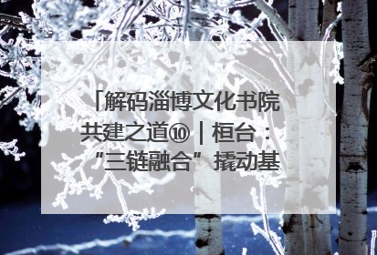 解码淄博文化书院共建之道⑩｜桓台：“三链融合”撬动基层文化共治新动能
