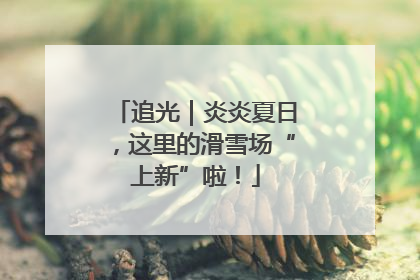 追光｜炎炎夏日，这里的滑雪场“上新”啦！