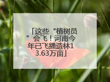 这些“植树员”会飞！河南今年已飞播造林13.63万亩