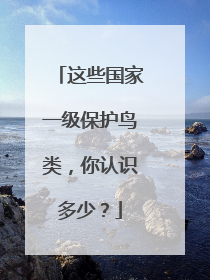 这些国家一级保护鸟类，你认识多少？
