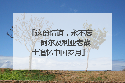 这份情谊，永不忘——阿尔及利亚老战士追忆中国岁月