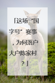 这场“国字号”赛事，为何落户大户陈家村？